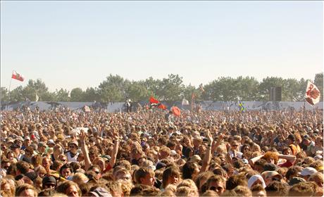 Festivalfrossa