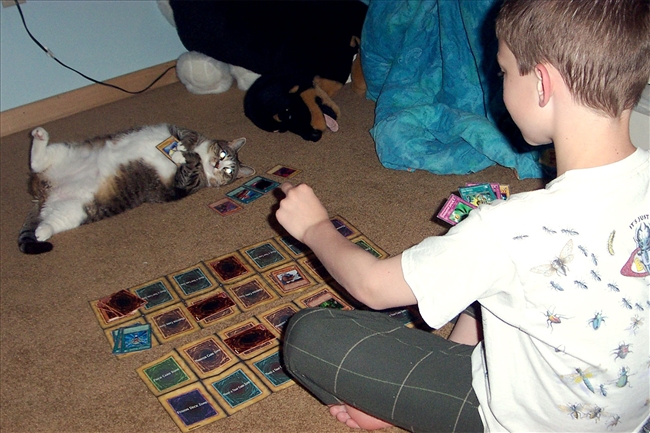 11