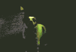 Hund på rave
