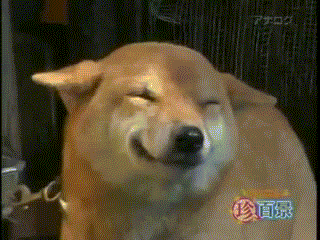 Glad hund