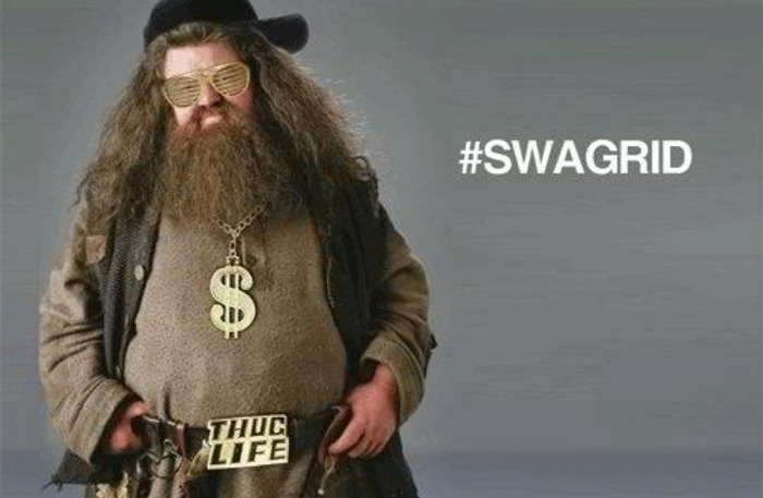 13 bilder du tycker är sjukt roliga om du är ett riktigt Harry Potter-fan