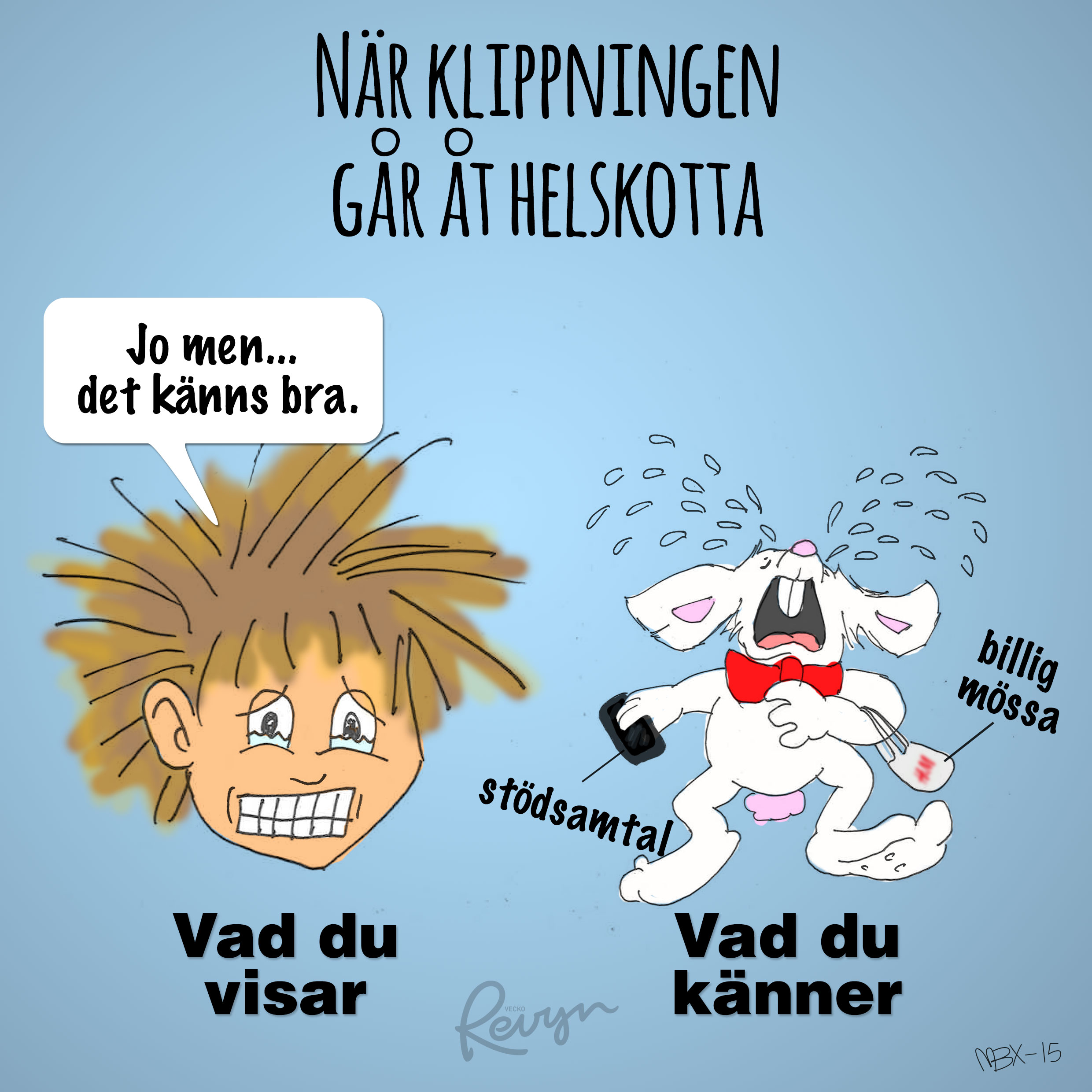 frisor-fail