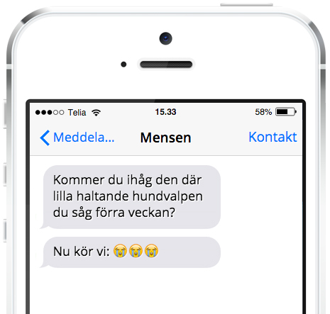 hundvalp