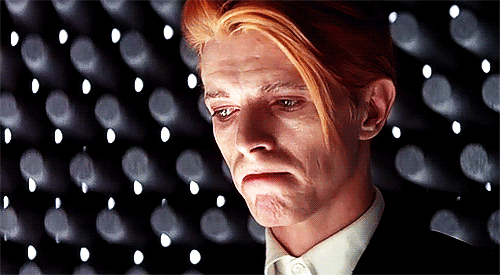 Bowie11