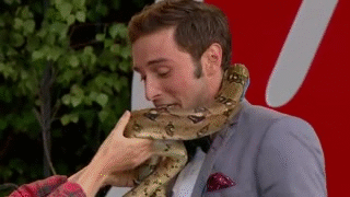 manszelmerlow04