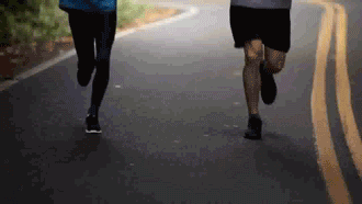 springer gif