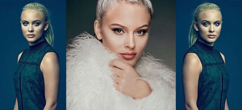 vad tjänar zara larsson