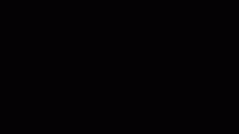 friterad mat