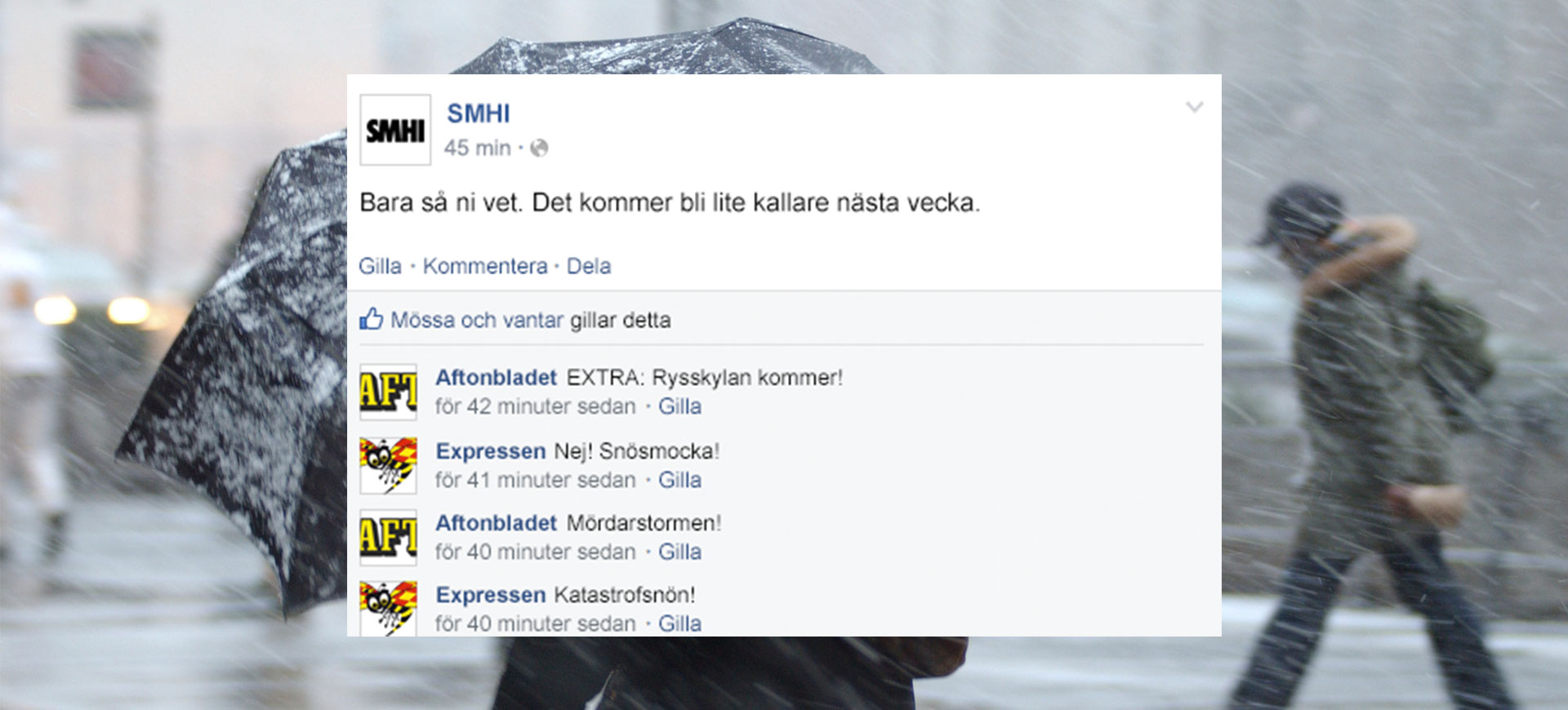 Om den svenska vintern hade haft Facebook