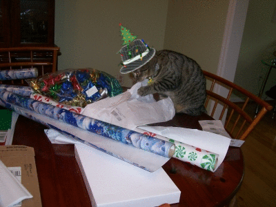 katt julafton