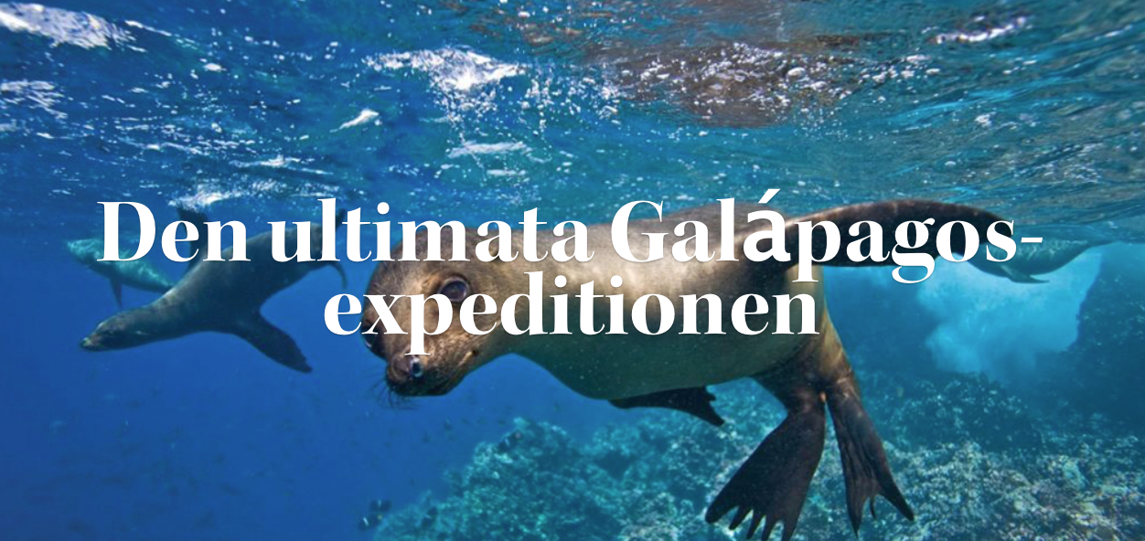 Galapagos