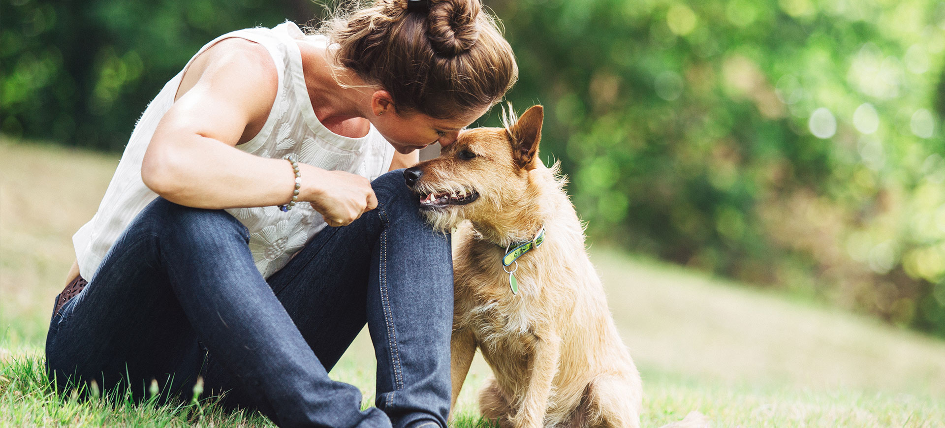 Ny studie: din hund känner av när någon är elak mot dig (och förlåter aldrig)