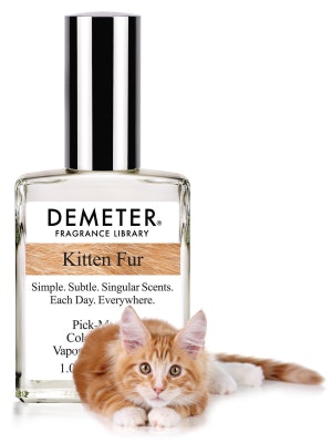 kitten fur