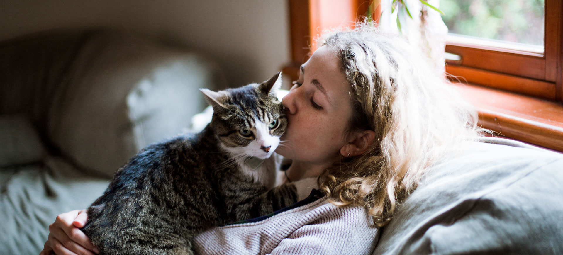 Nu öppnar Sveriges första katt-kafé – och vi är så redo för mys!