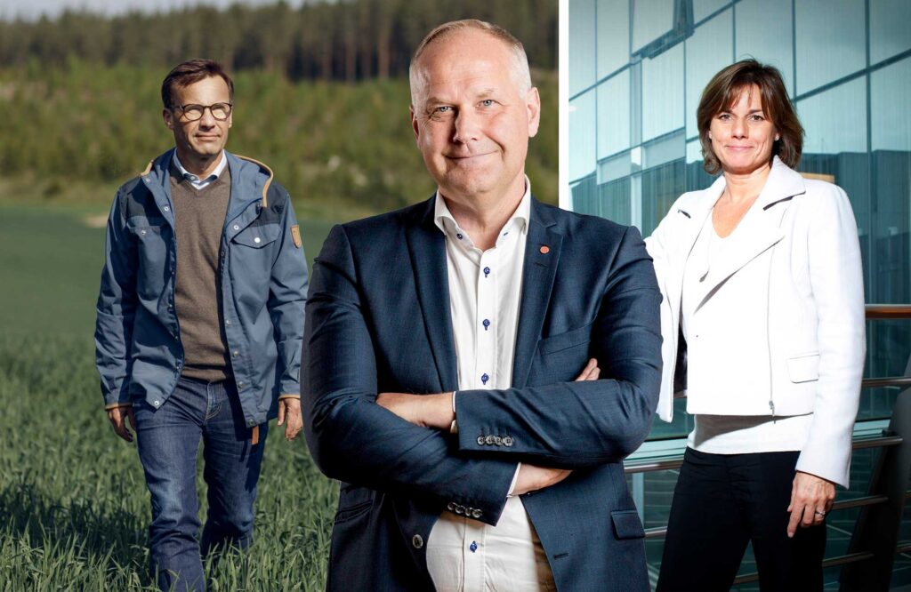 Snygga svenska politiker