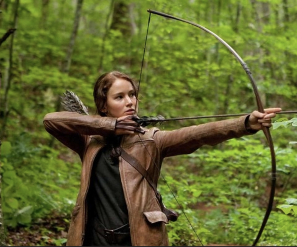 ny novell till hunger games