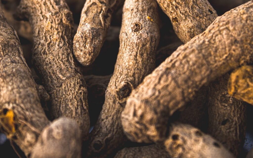 ingefärsshot med gurkmeja