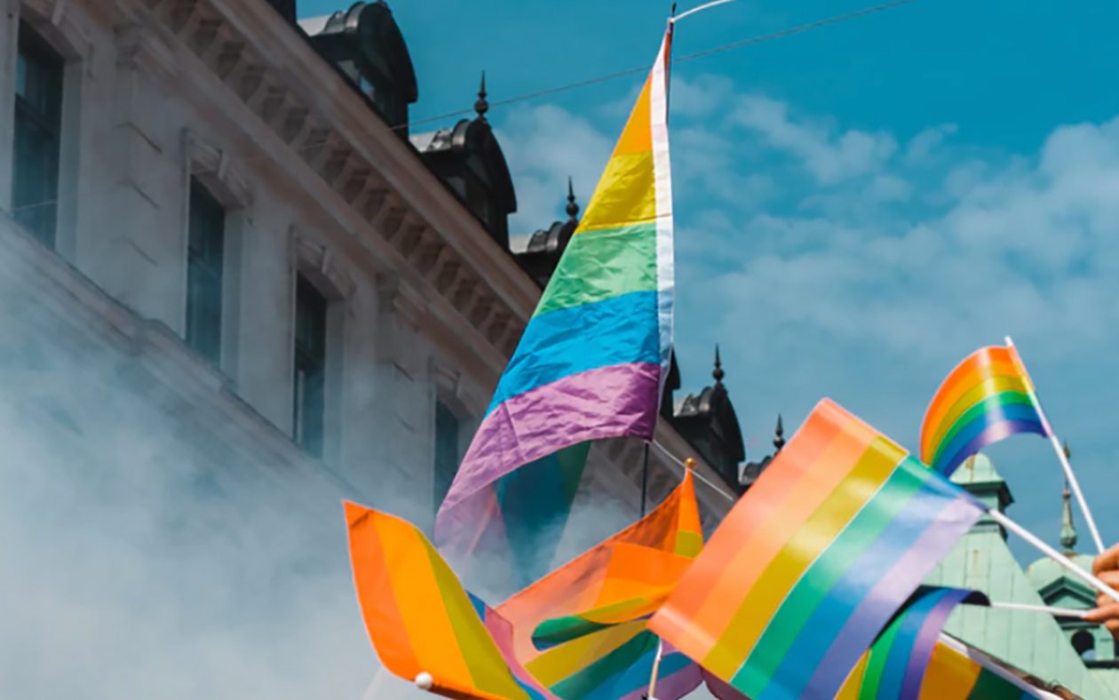 Lista: Queer, ickebinär och 9 andra HBTQIA-begrepp du måste kunna