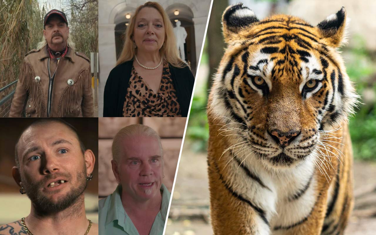 Quiz: Vem i Netflix-succén Tiger King är du?
