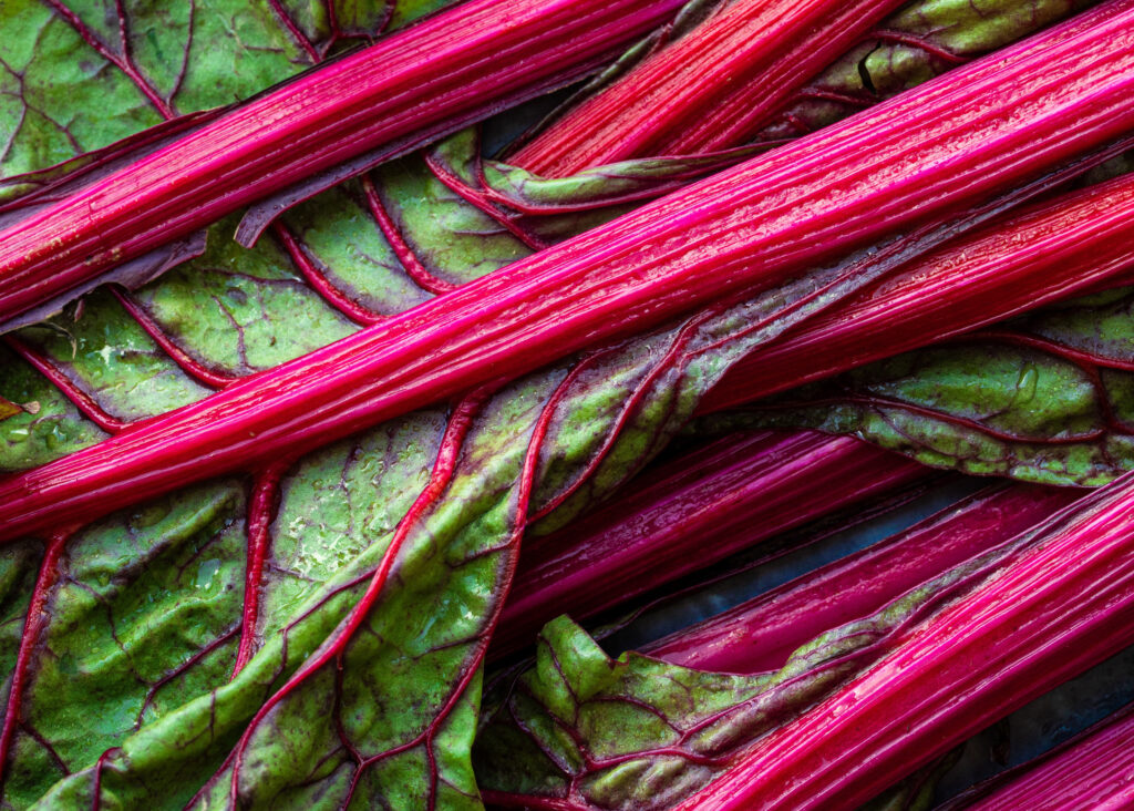 hur smakar gin och tonic