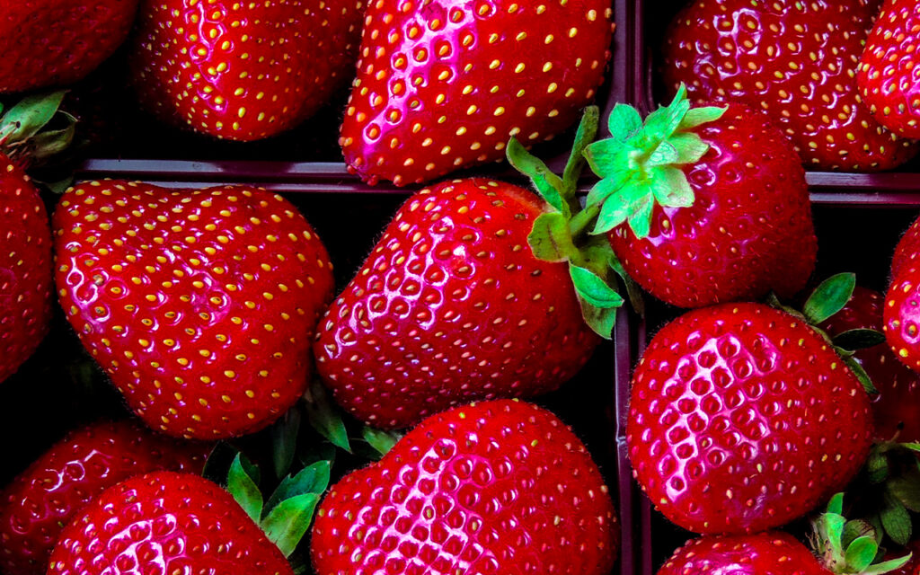 när ska man plantera jordgubbar