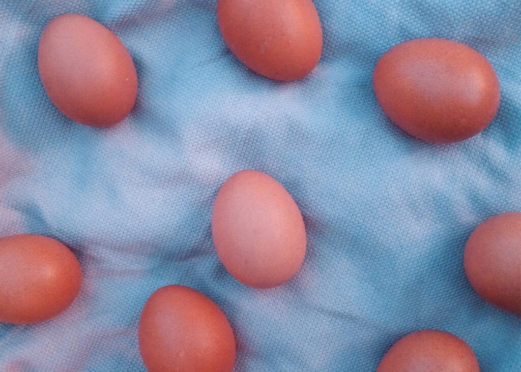 vad väger ett ägg?