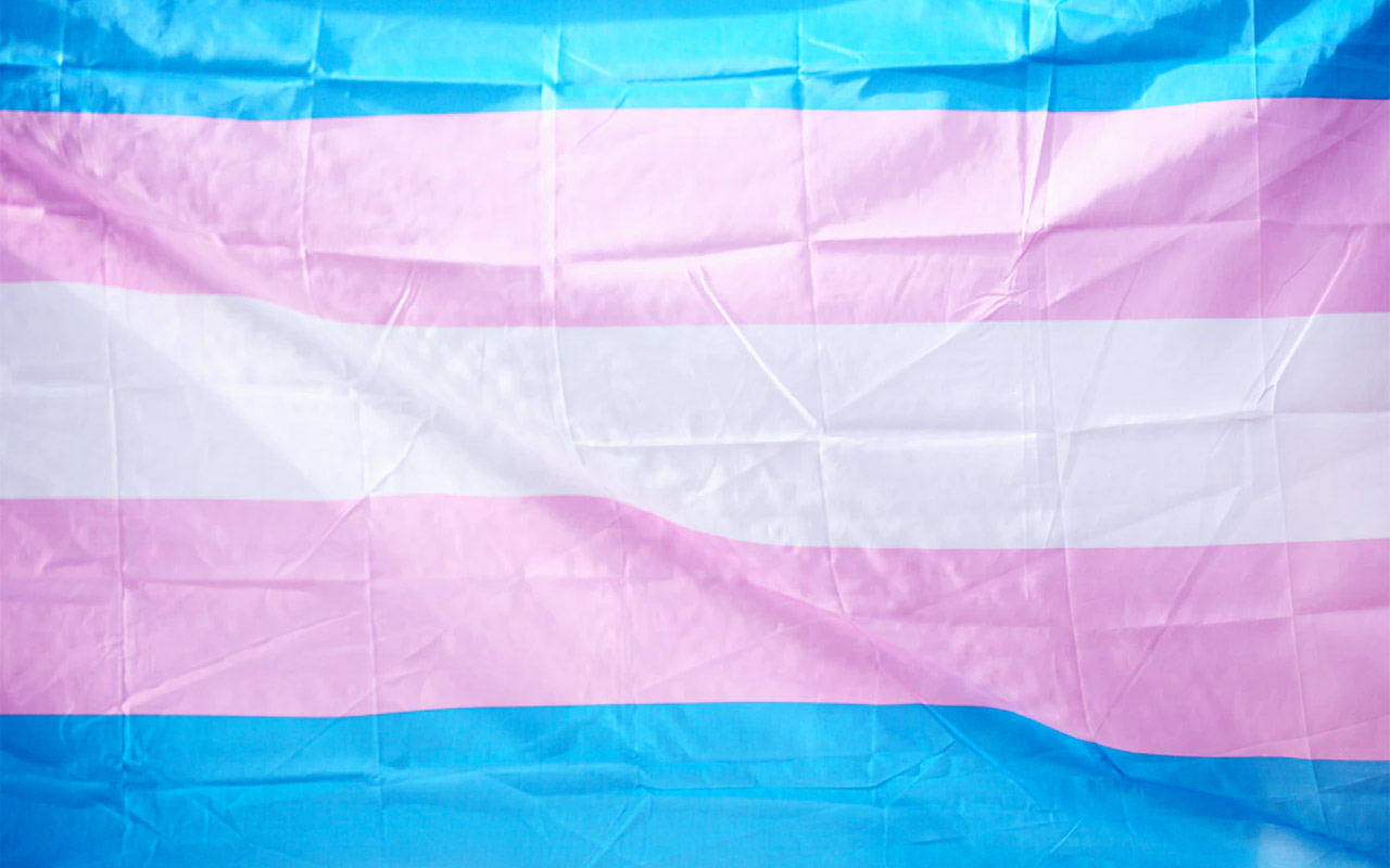 RFSL Ungdom: ”10 saker alla borde veta om transpersoner”
