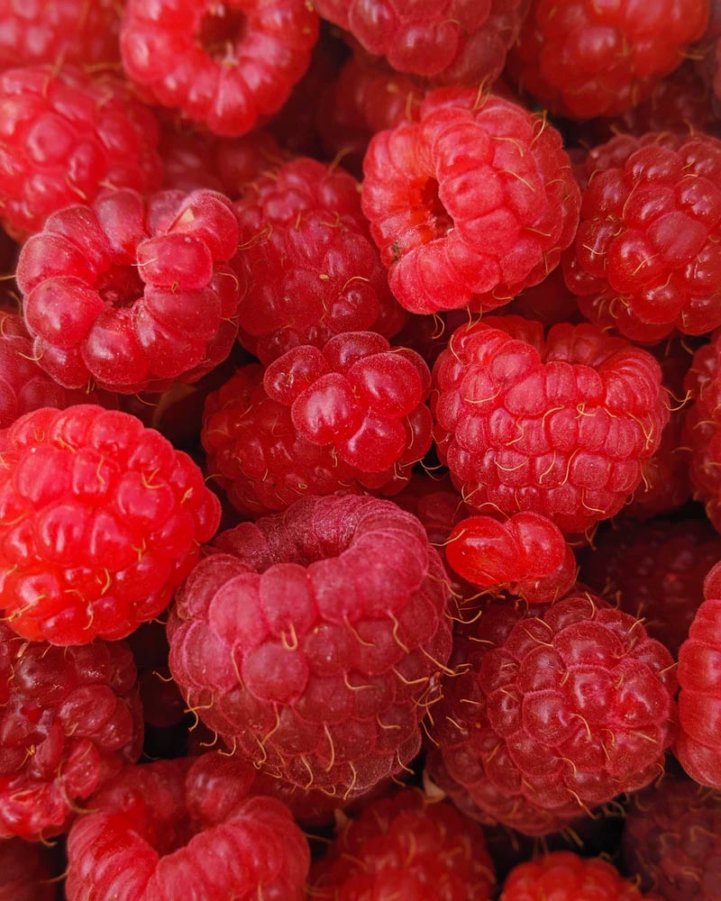 Mimosa recept drink med hallon