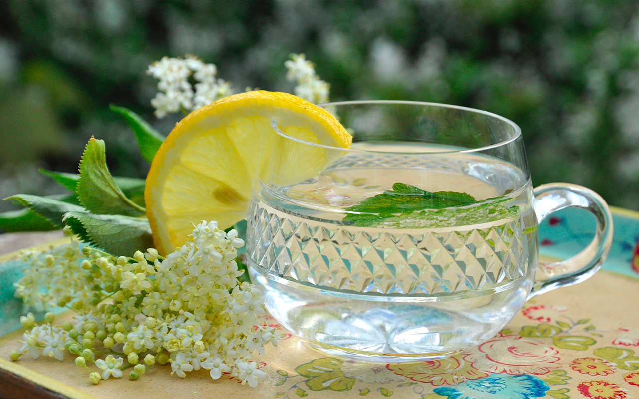 Så gör du egen flädersaft – med citron, lime eller ingefära