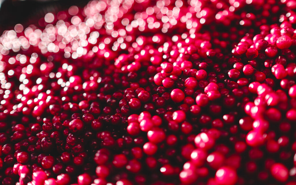 lingonsylt dragarbild