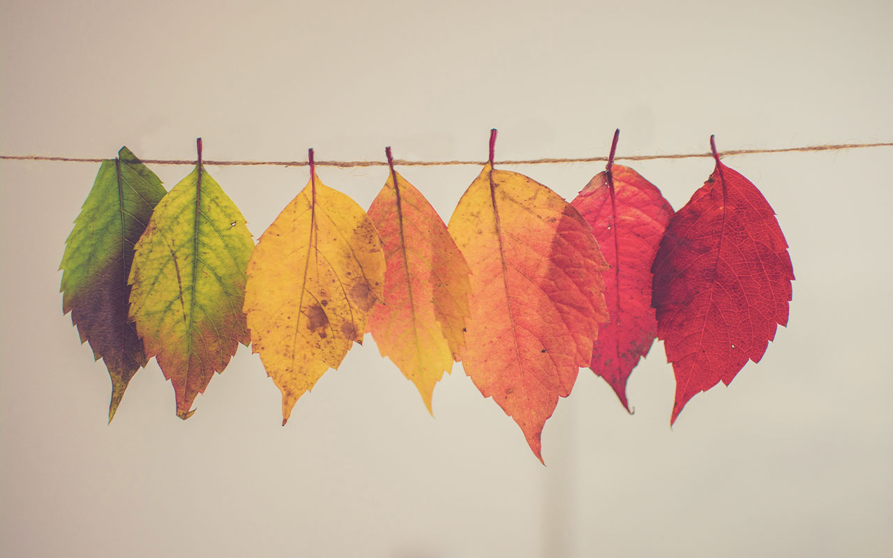 Veckans horoskop: 5 – 11 oktober