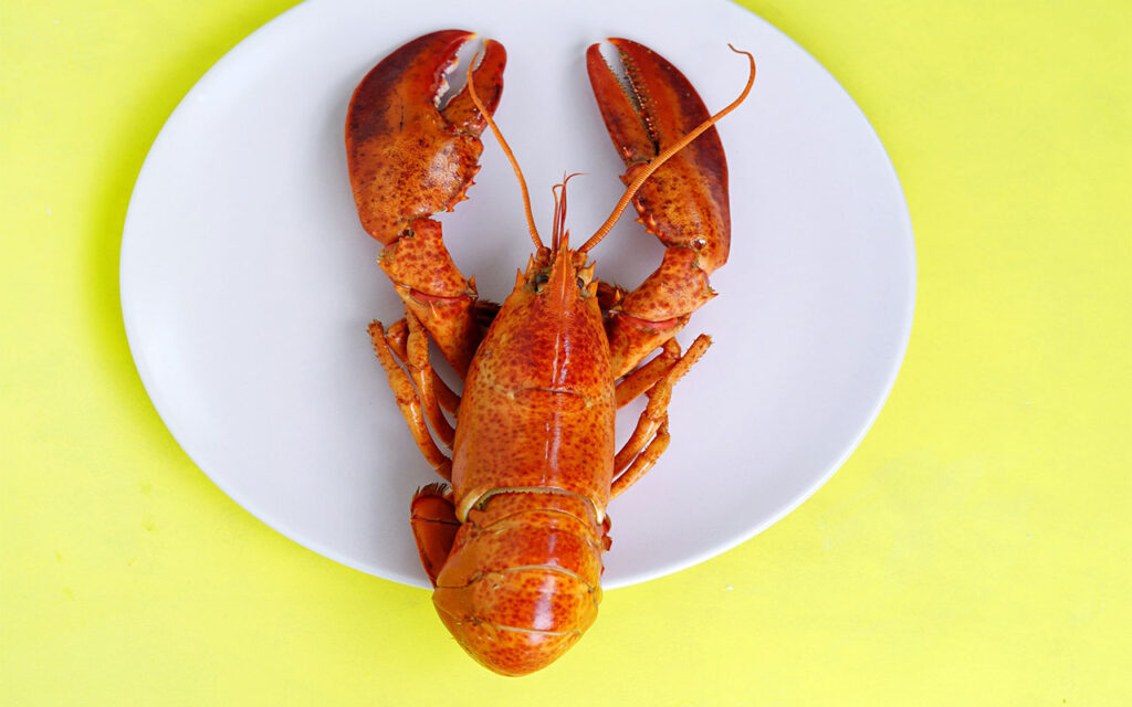 gratinerad hummer dragarbild