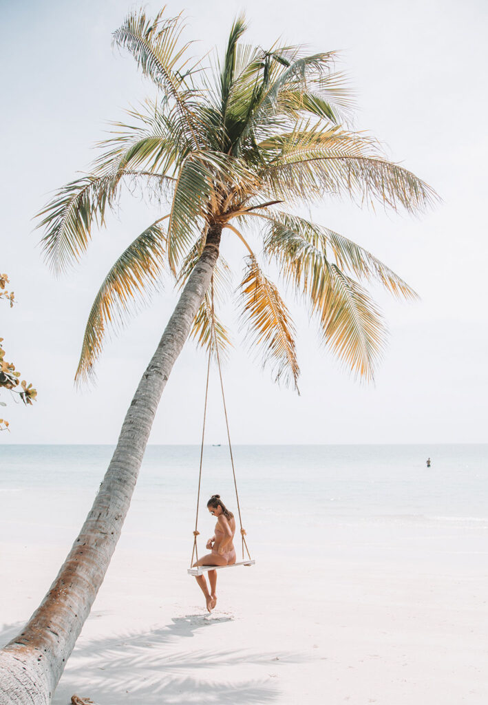 palm