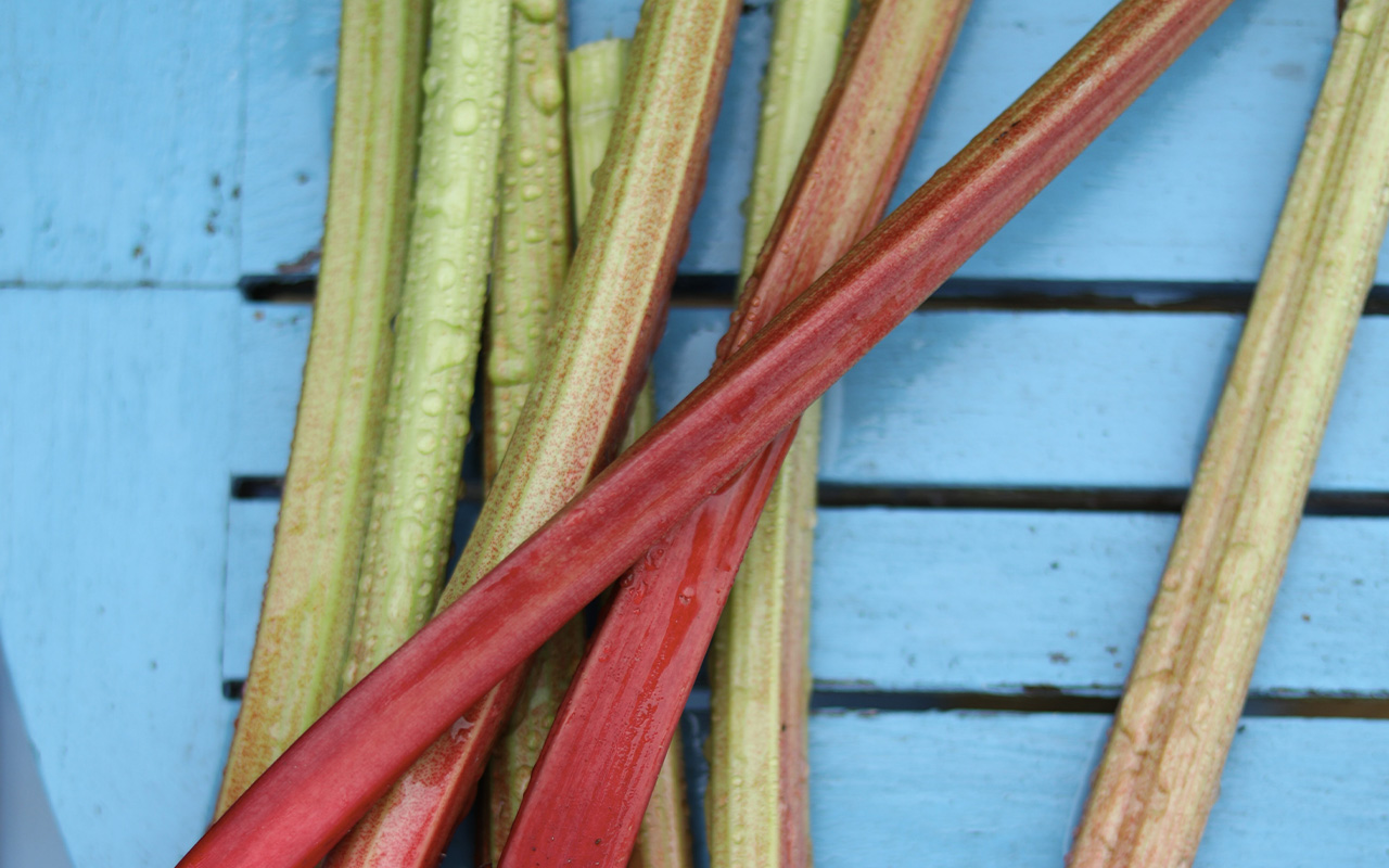 7 recept på rabarbermarmelad – med ingefära, citron eller vanilj
