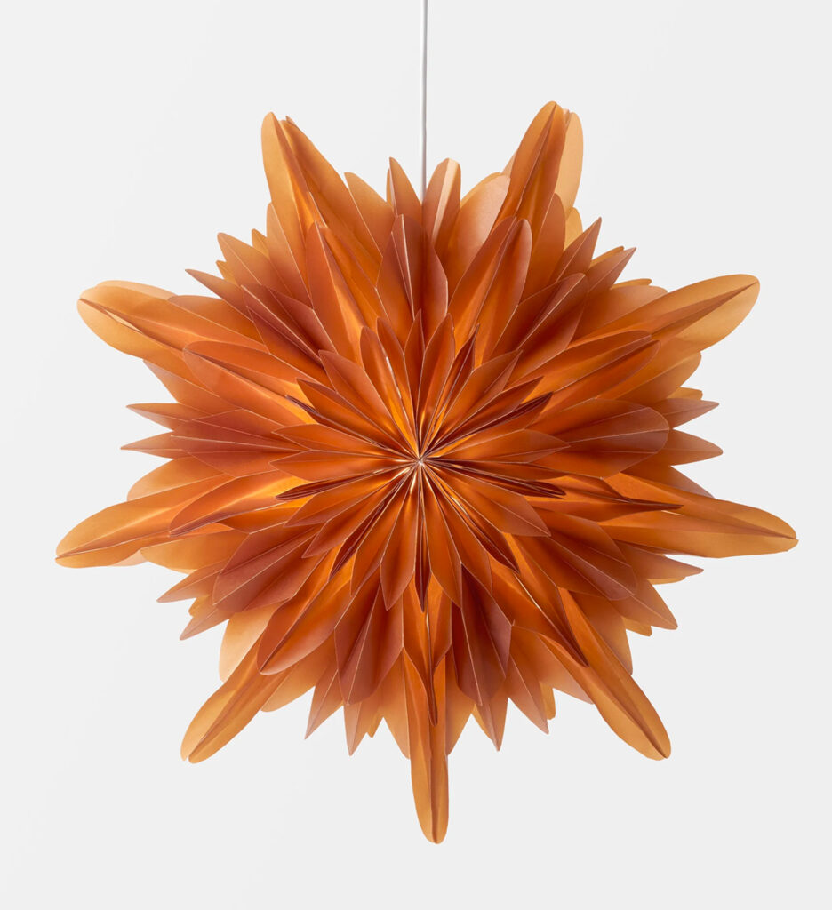 julstjarna eller adventsstjarna i fonster