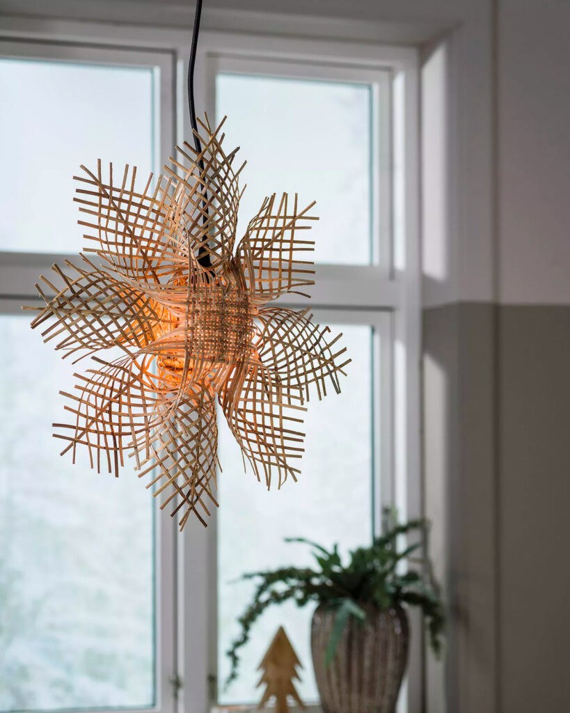 julstjarna eller adventsstjarna i fonster rotting