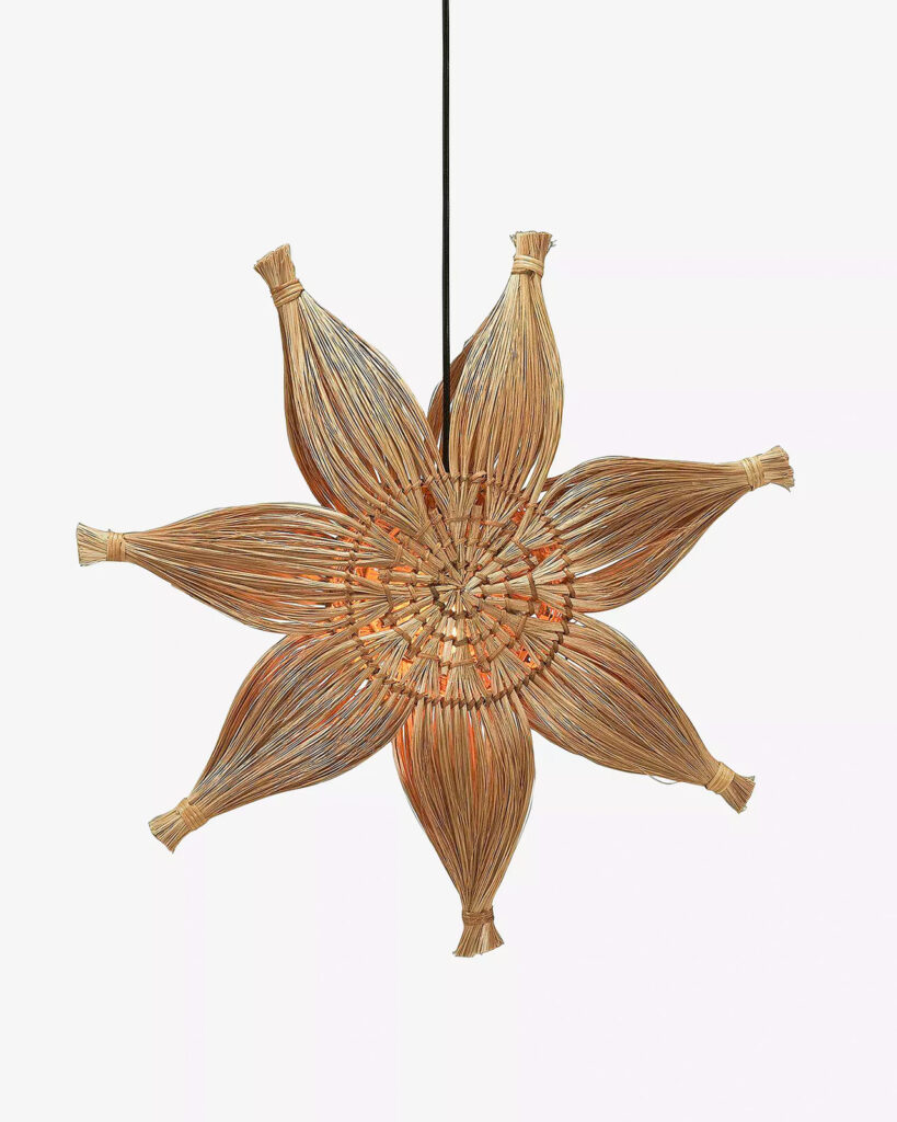 julstjarna eller adventsstjarna i fonster natur