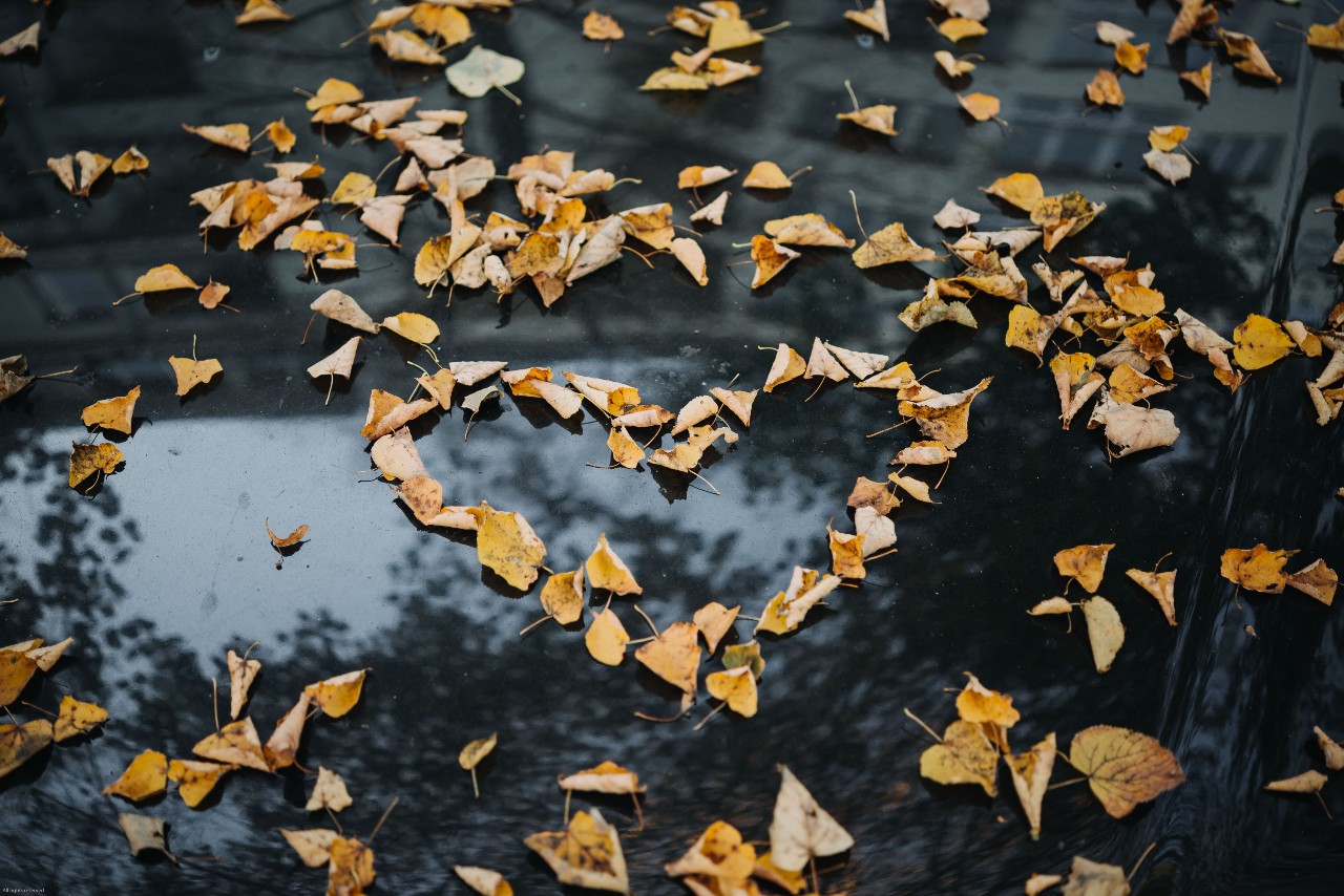 Dagens horoskop: 17 oktober 2023