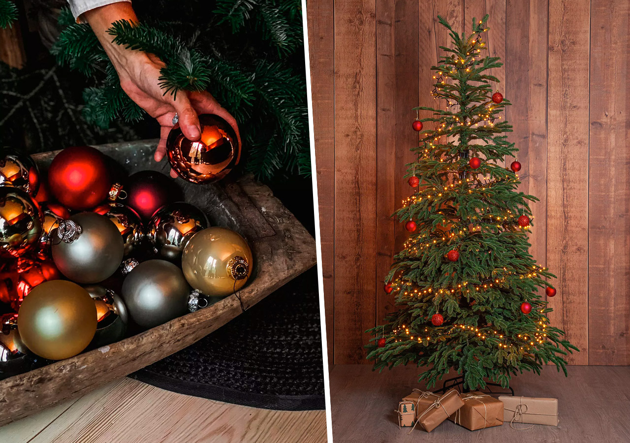 5 fina julgranar som ger julstämning på nolltid