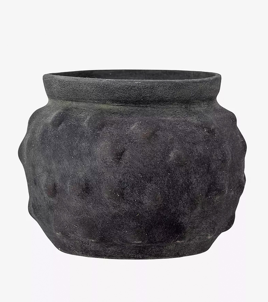 garderobsblomma hur tar man hand om den?