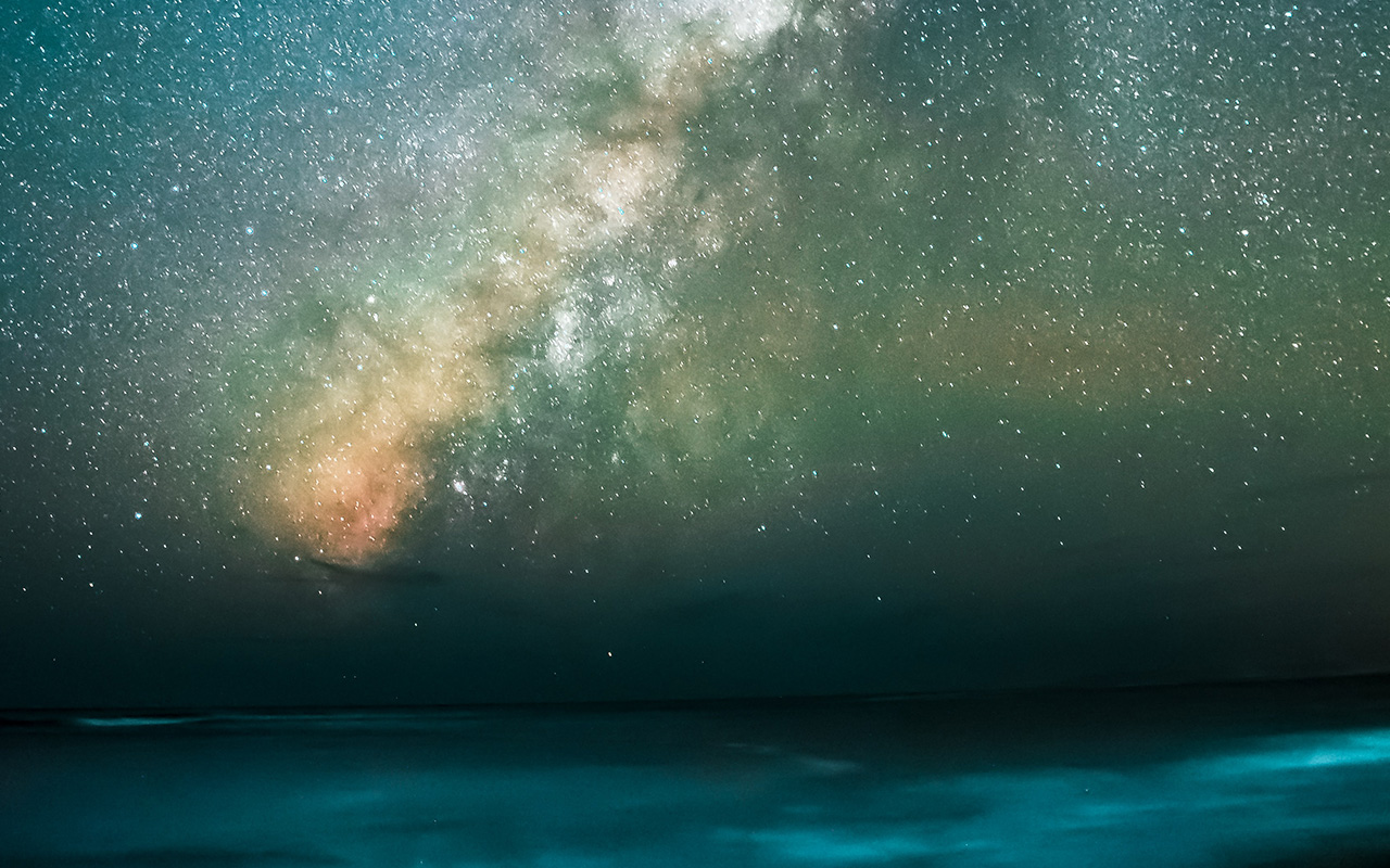 Därför är oxen så pålitlig – allt du vill veta om stjärntecknet