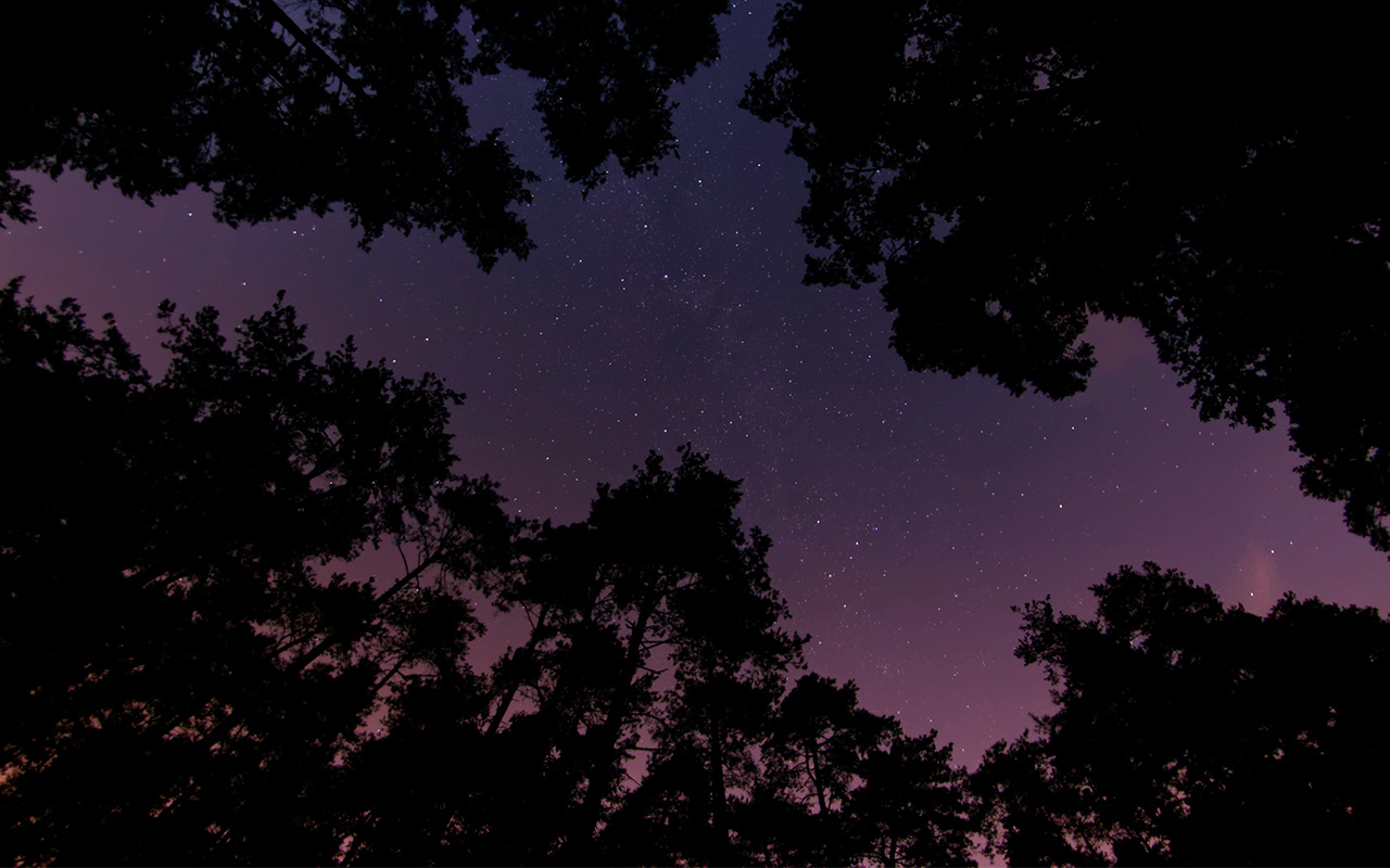 Stenbocken gillar ordning och reda – här är allt om stjärntecknet