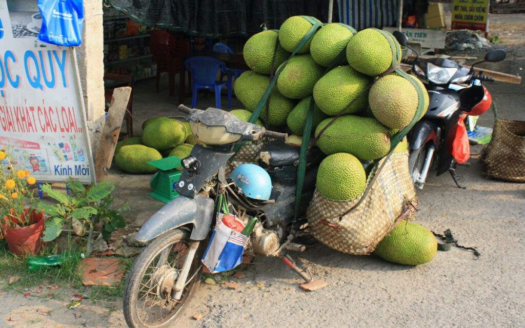 Jackfruit näringsvärde