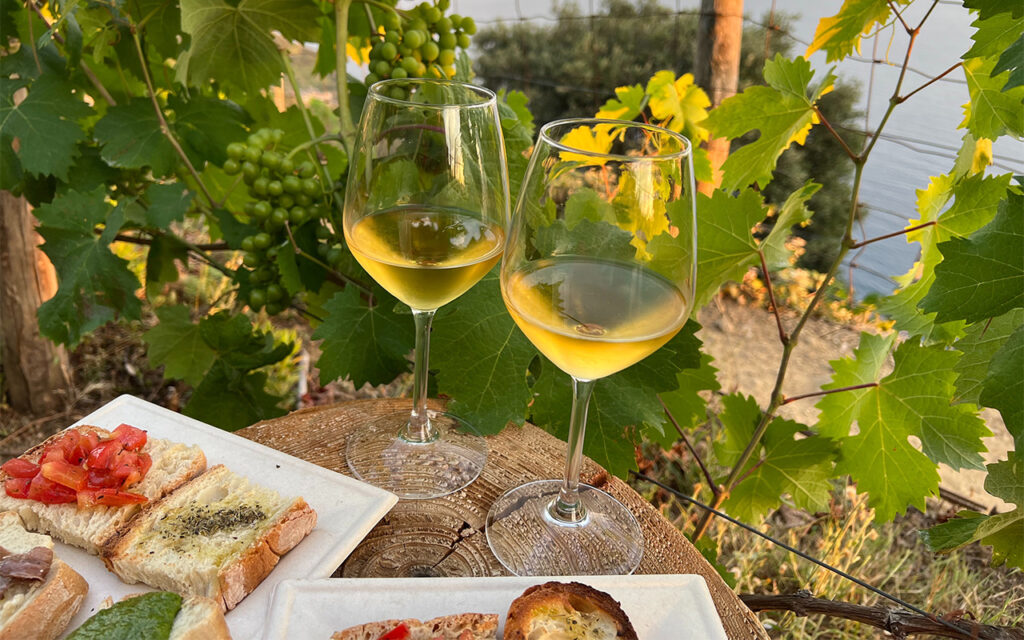 vitt vin riesling