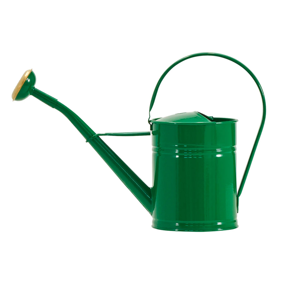 vattenkanna for inomhus och utomhus gron