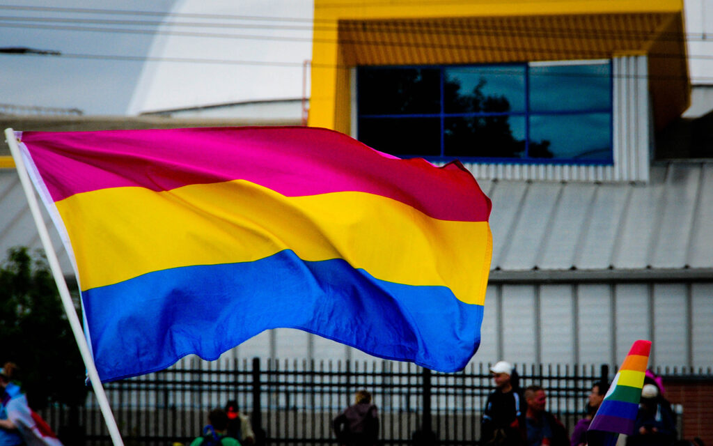pansexuell kvinna