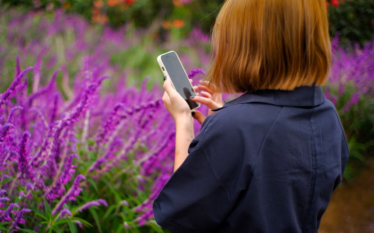 BankID släpper digitalt id-kort i mobilen – så skaffar du det
