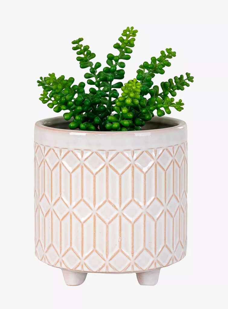 var trivs en garderobsblomma