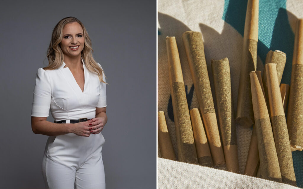 Sara Skyttedal från Folklistan