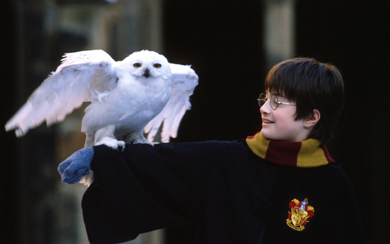 Harry Potter får ett bakprogram (då är det premiär!)